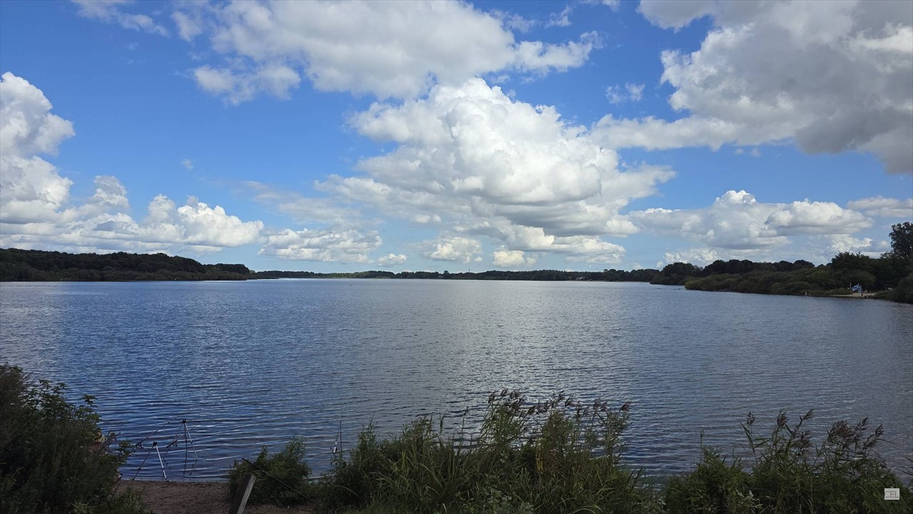 Blick auf Westensee