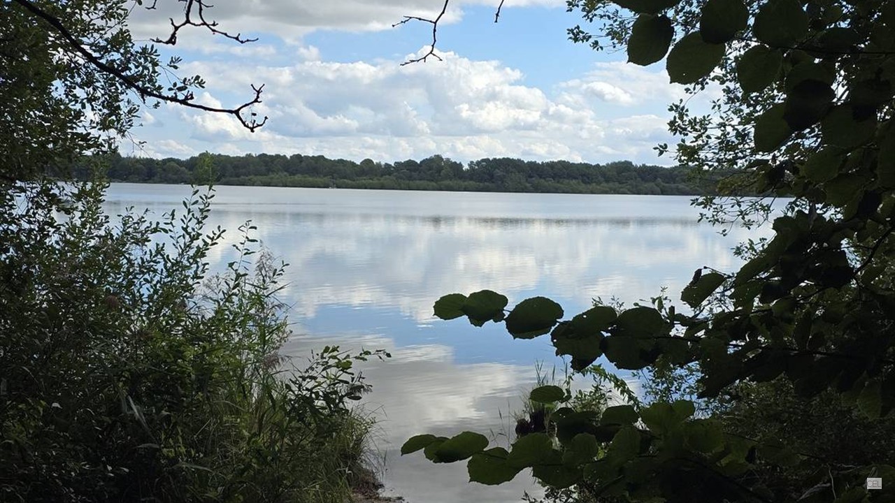 Blick-auf-Einfelder-See
