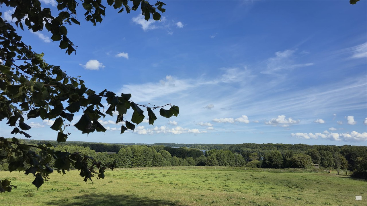 Felder am W-See