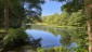 Am See