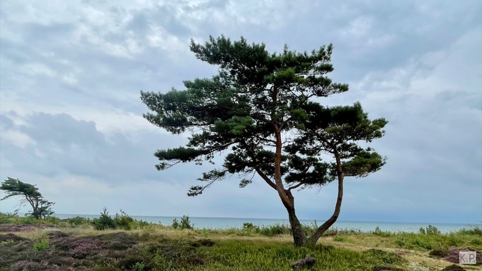 05-Bornholm